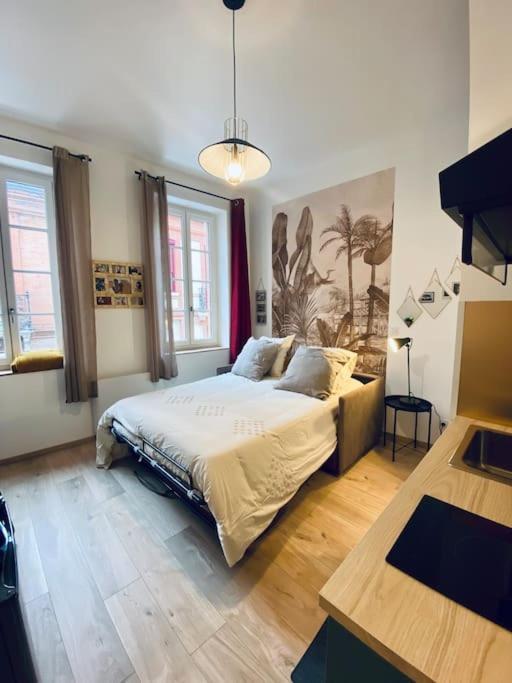Studio Centre, Calme, Vrai Cocon. Toulouse Ngoại thất bức ảnh